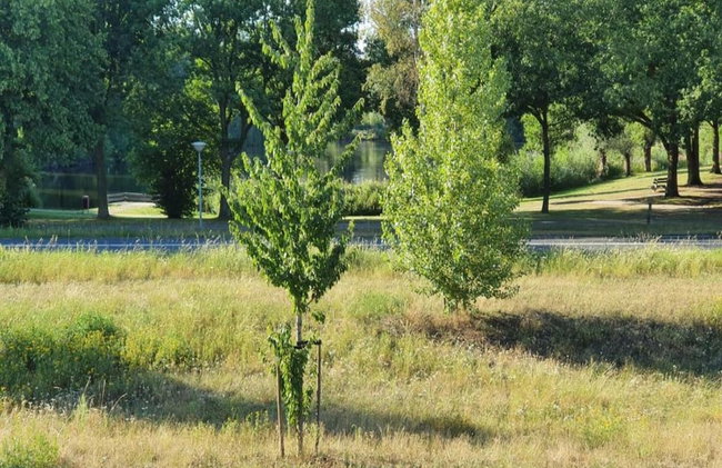 Holiday Home in Holten Near Lake Ijssel - Foto 21
