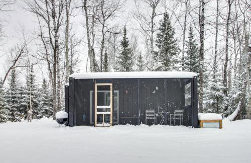 Ice Fish on South Fork Lake From Nashwauk Studio - Foto 16