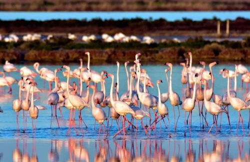 Apartament Sant Jaume D'enveja - Foto 19