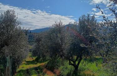 Casa Branchetti - Foto 18