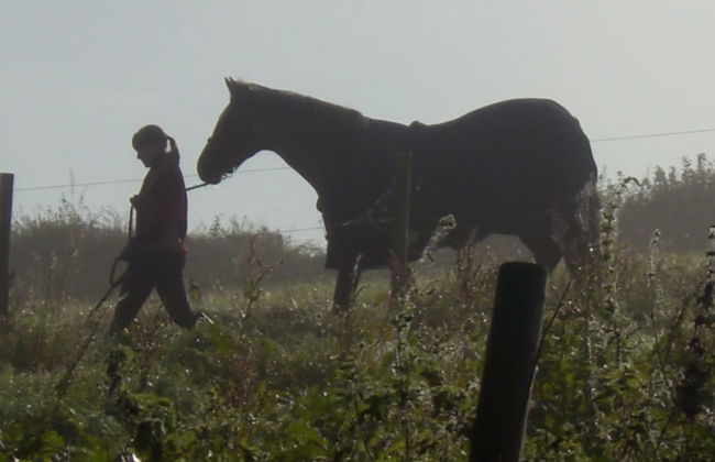 Polean Farm Cottages - Photo 77