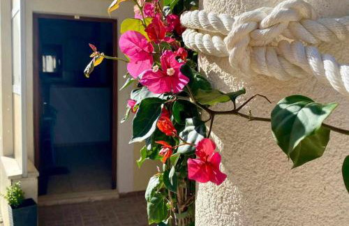 Apartments Kiro - Foto 51