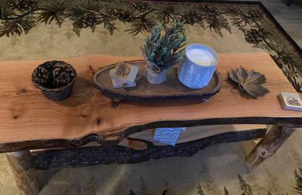 Zen Cottage in the Woodlands - Foto 10