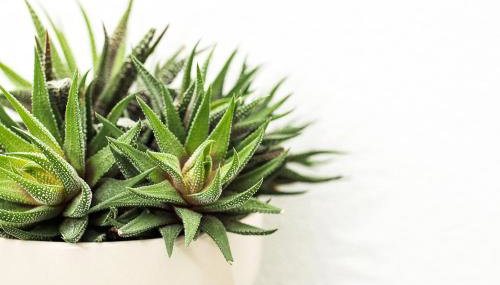 KELLER APARTMENT l 10L - Foto 2