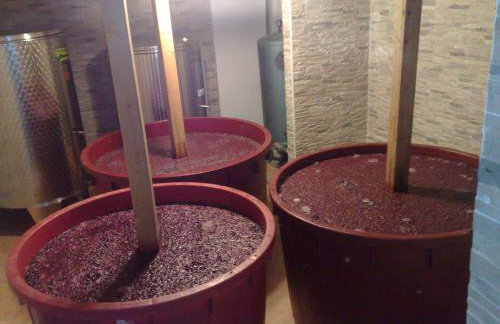 Apartments Ivan Sea View in Peaceful Lun - Photo 34