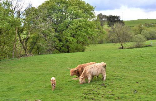 2 Bed in Kilmacolm oc-55854 - Foto 21