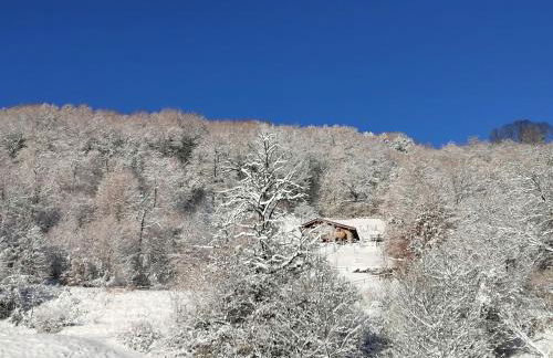 La dimora degli Angeli - Foto 44
