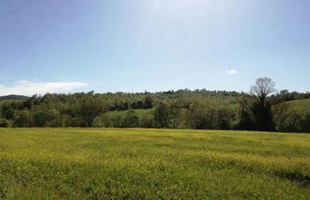 Agriturismo cavallin del papa - Foto 16