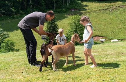 Springhansenhof - Photo 4