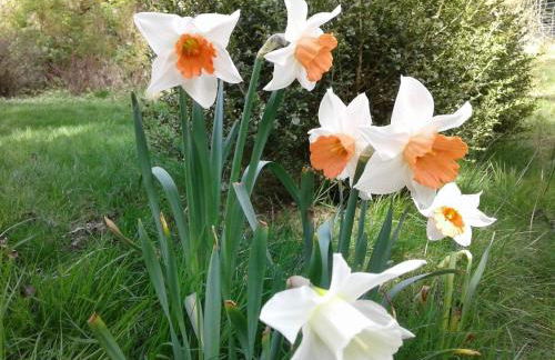 Hummingbird downtown water view apartment - Foto 18