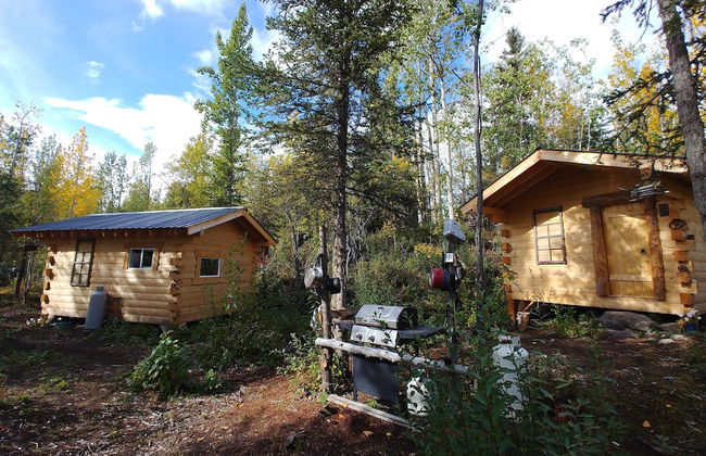 Blackburn Cabins - Photo 50