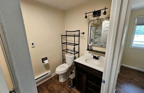 Beautiful Cottage Nestled Amidst Trees in Wellston, Michigan - Foto 9