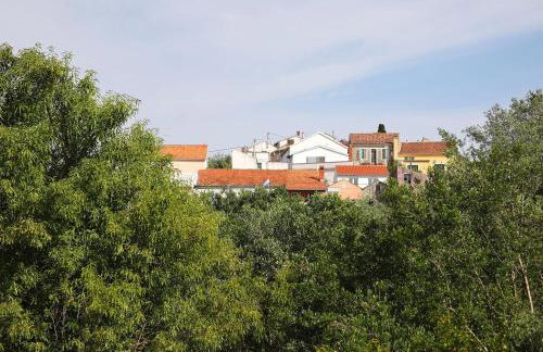 Senkini Dvori - Photo 80