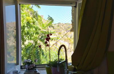 The Bergamot - Foto 16