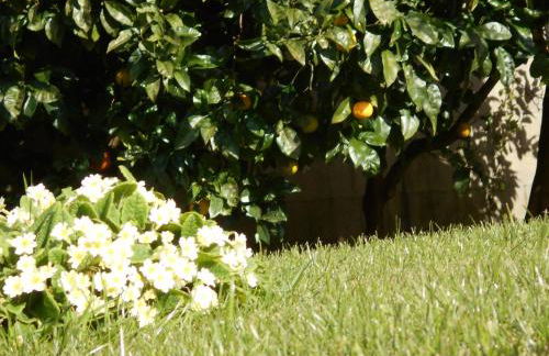 Casa Mar de Ardora - Foto 32