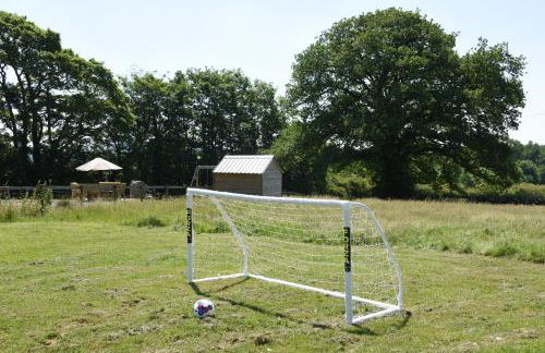 Maen Llwyd - Photo 29