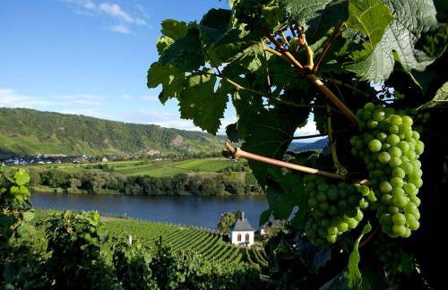 Gästehaus Steuer - Foto 14