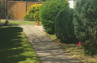 Ferienhaus am Neuklostersee - Foto 15