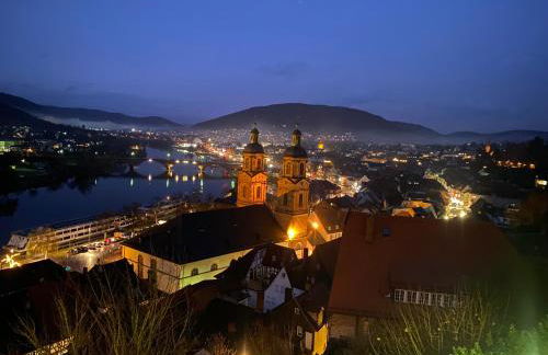 Mauersegler - Foto 14