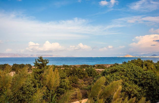 Alyko Villas - Photo 49