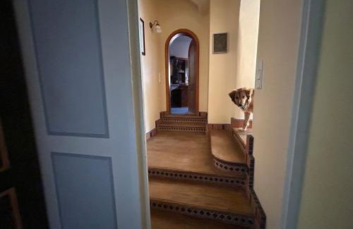 Bergfohlenhof - Photo 12