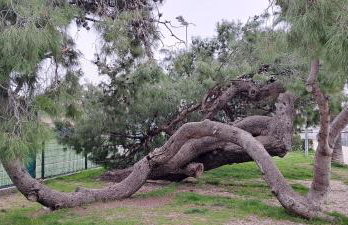 Apartments Kaskada - Foto 53