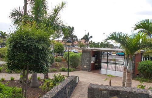 Retama del Teide, Puerto de la Cruz - Foto 44