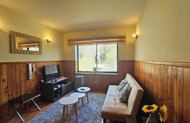 Oceana Suites Parque Suizo - Foto 10