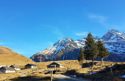 Chalet des Ours - 2 appartements 4 étoiles premium - 5 ou 6 personnes - Photo 49