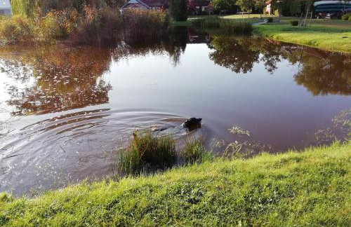 Avalon Połchowo - Foto 36