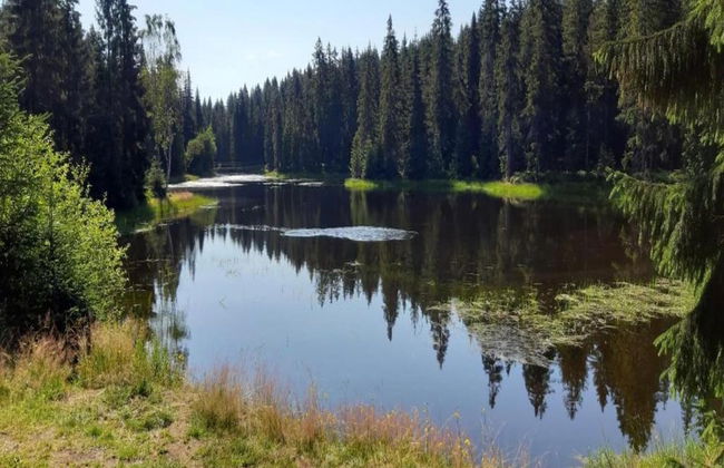 Comfortable Holiday Home With Sauna and Billiards, Near the Slopes - Photo 37