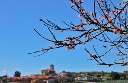 La Mies de Vallegon - 1801 - Foto 12