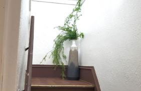 Ana Maria del Azul - Foto 40