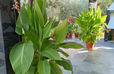 Olive Garden Beachside Hideaway - Photo 26