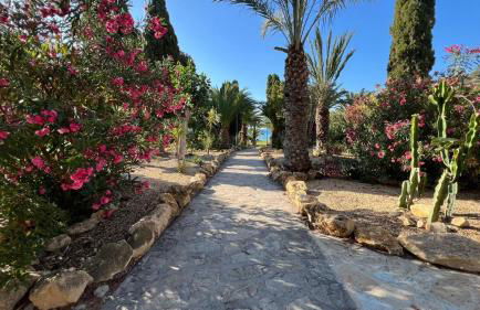 Modern apartment sea view with private jacuzzi - Photo 8