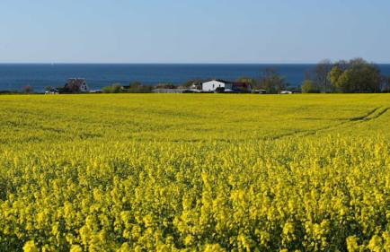 Möve Aba Bungalow 67 - Photo 23