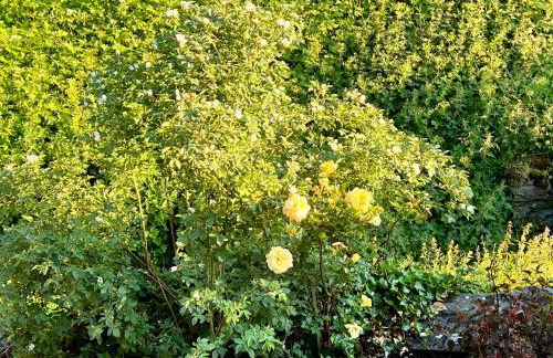 Chalet Altus - Photo 30