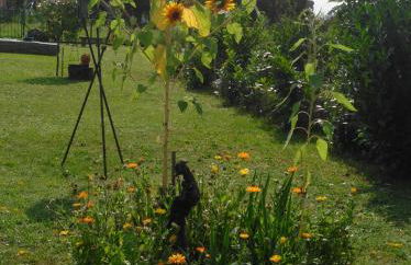 Ferienhaus Hedwig - Foto 20