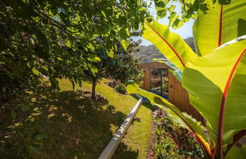 Botanica Living Magnolia Apt - Foto 30