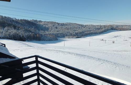 Bieszczadzki Horyzont Apartamenty - Photo 19