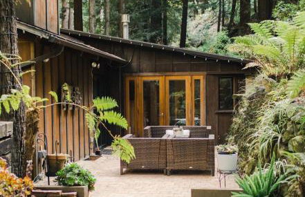 Sur Grove Big Sur - Foto 17