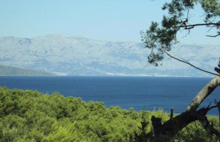 Apartments Basina - Foto 43