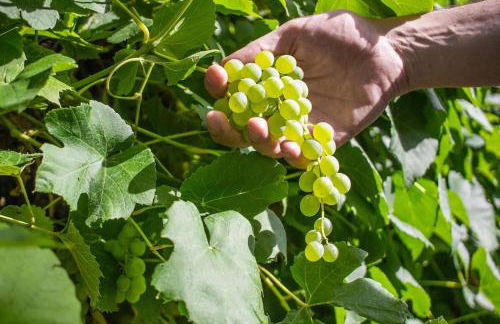 5 Bedroom Perfect Location to see the City and Ski Resorts - Foto 25