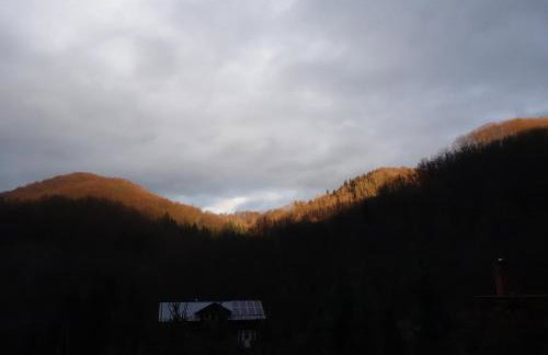 Krolowo Apartment - Photo 34