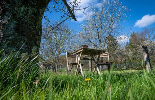 Zum Henner - Foto 11