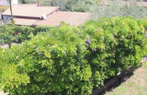 Villa Sicilia Apartment - Foto 12