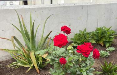 Villa San Miguel - Foto 3