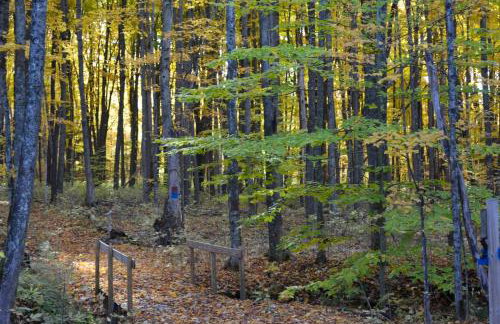 Trout Creek Resort Condo - 1 Mi to Nubs Nob! - Foto 38