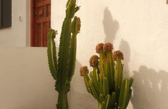 Casa Cactus - heated pool and only 5 boutique apartments - Foto 25