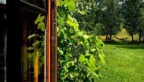 Dom Geologa - Foto 2, Garden view